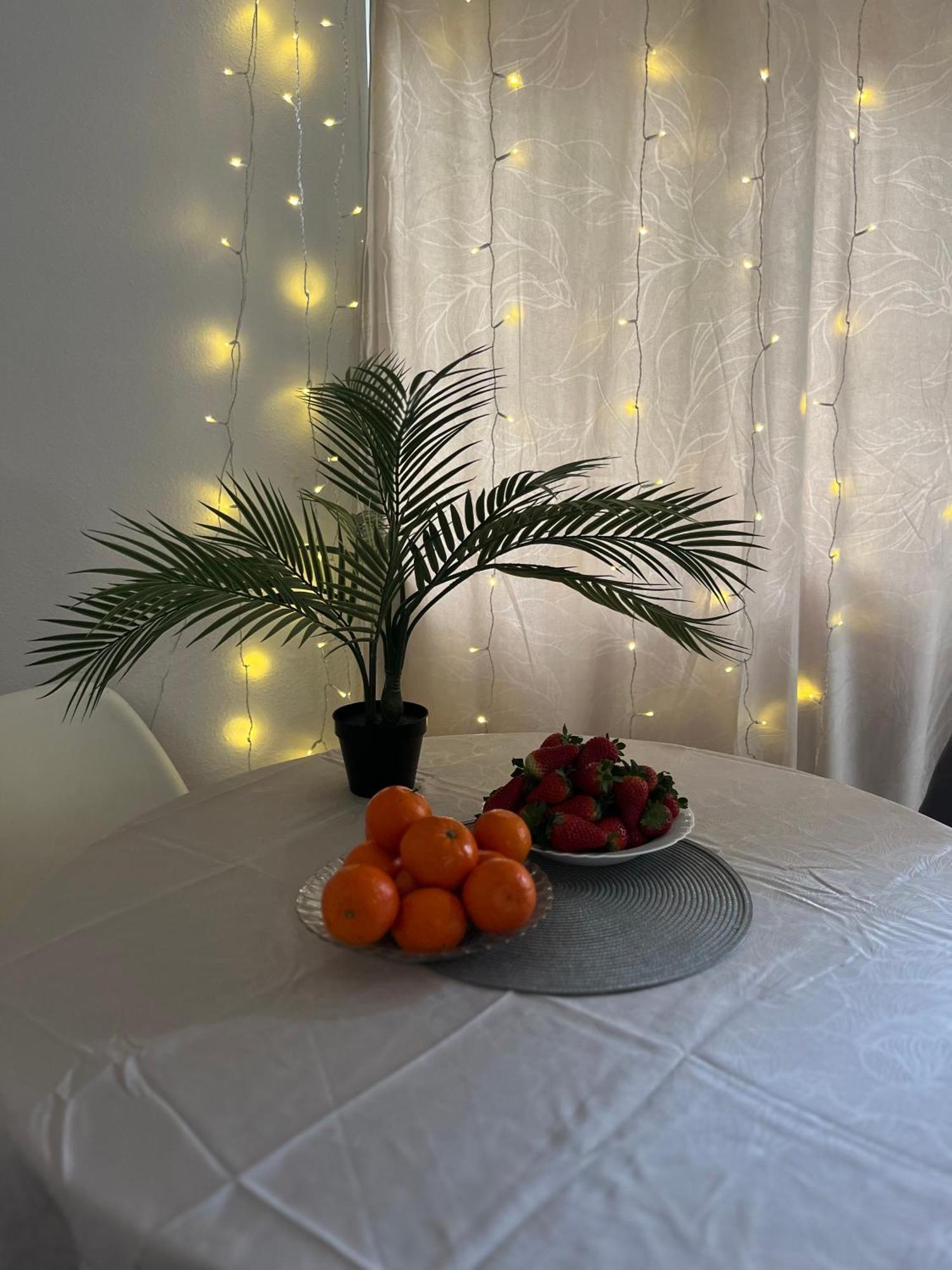 Magdalena Apartament 托雷维耶哈 外观 照片